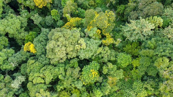 Profitez de 10 € de réduction avec le code parrainage le fourgon