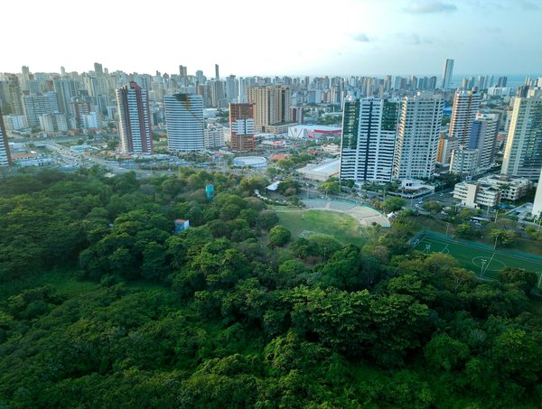 Découvrez la boutique de sabre laser : votre force à portée de main
