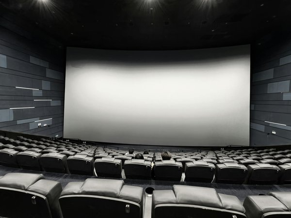 Le guide ultime pour choisir votre sécateur idéal