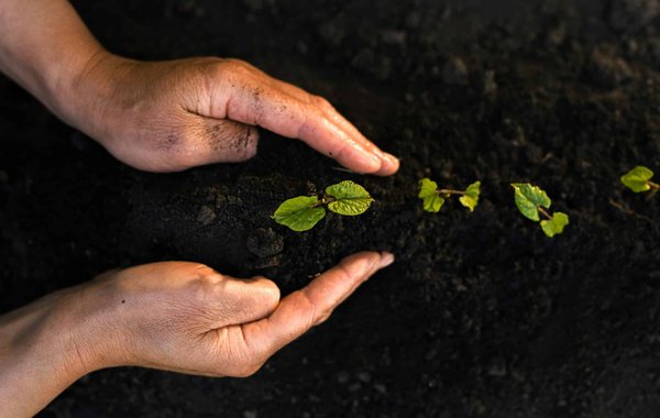 Découvrez l'avenir durable avec notre blog écologie