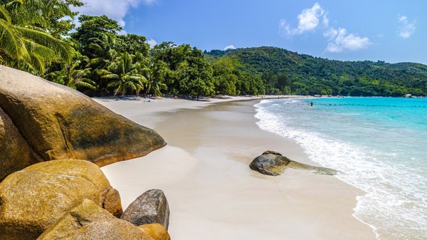 Découvrez la meilleure période pour une croisière aux Seychelles